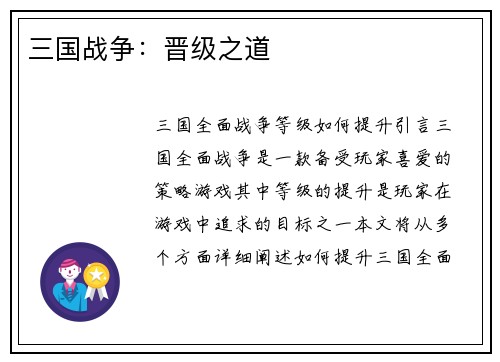 三国战争：晋级之道